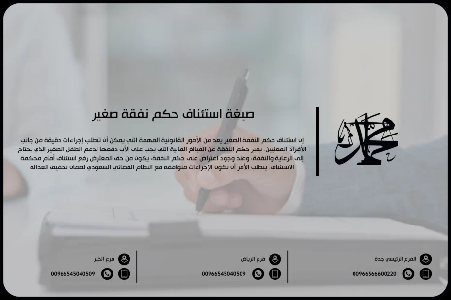 صيغة استئناف حكم نفقة صغير